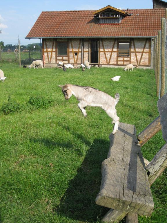 Ferienhof Roesch Bad Wurzach Kültér fotó
